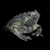 crapeaux2